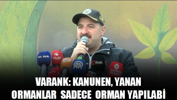 Varank: Kanunen, yanan ormanlar sadece orman yapılabilir