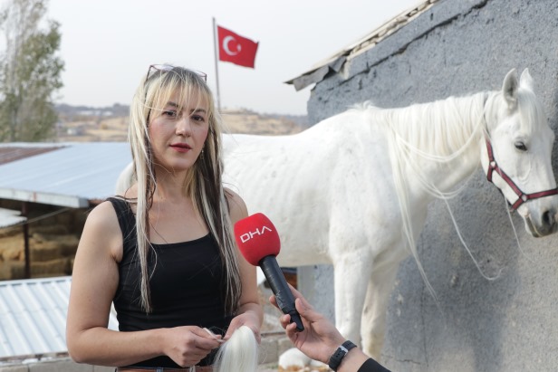 Kadın kuaförü, yelelerine taktığı kaynaklarla atları güzellik yarışmalarına hazırlıyor
