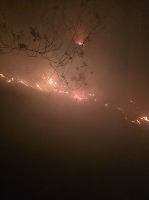 Hatay'da yıldırım düşmesi sonucu orman yangını çıktı