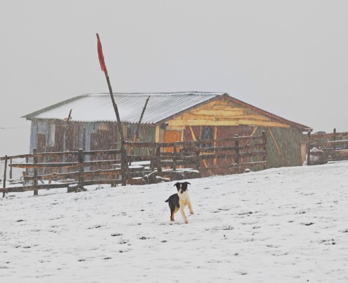 Ordu'nun yüksekleri beyaza büründü