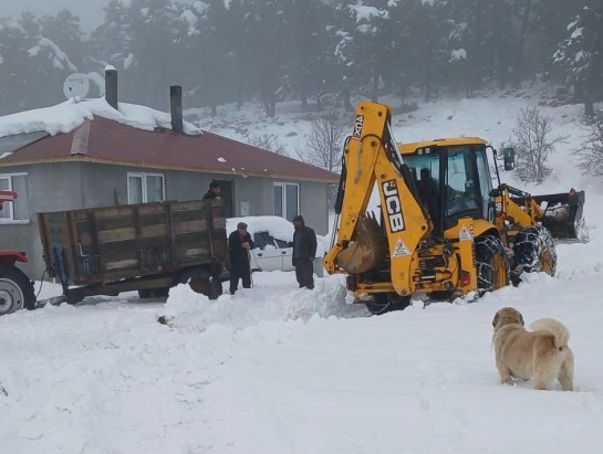 Ordu'da karla kaplı yayla yolları açıldı