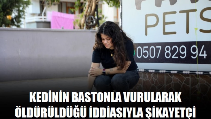 Kedinin bastonla vurularak öldürüldüğü iddiasıyla şikayetçi oldu