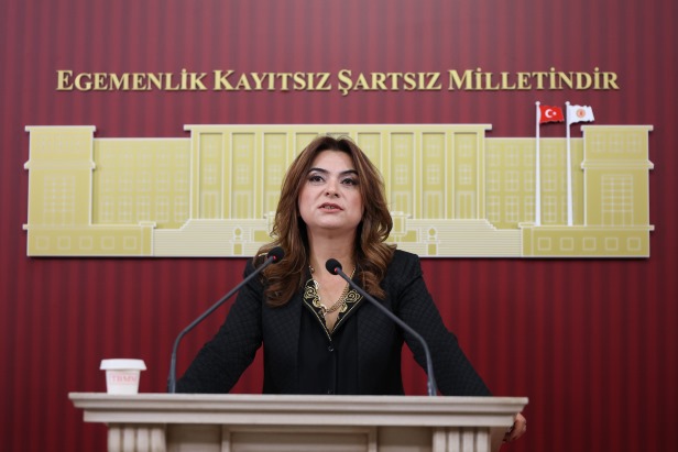 DEM Parti'li Koçyiğit: Bu ülkedeki her 100 liranın 17 lirası faize gidiyor