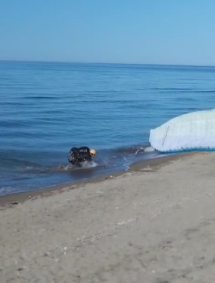 Ordu'da yamaç paraşütçüsü denize indi