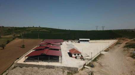 Havza Canl Hayvan Pazar tedbiren kapatld