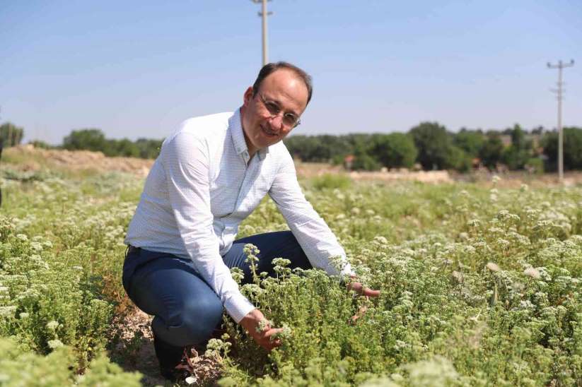 Pamukkale Belediyesi, Denizli kekii adn tescil ettirerek sektöre büyük dest - Denizli haber