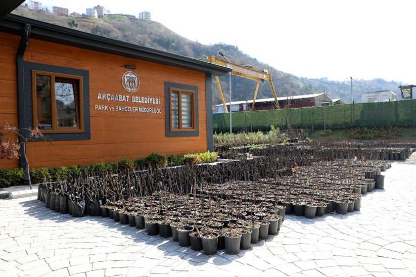 Bakan Ekim: Akçaabat Karadeniz'de süper meyve 'Aronya'nn üretim merkezi olaca - Trabzon haber