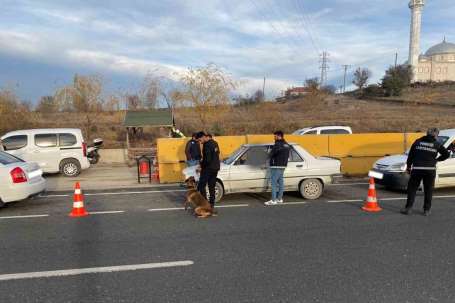 Kastamonu'da uyuturucu arama köpei CEKU ile denetimler devam ediyor