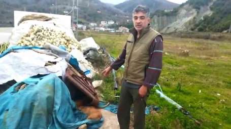 Sinop'ta limanda demirleyen balkçlar 6 köpei ölü buldu