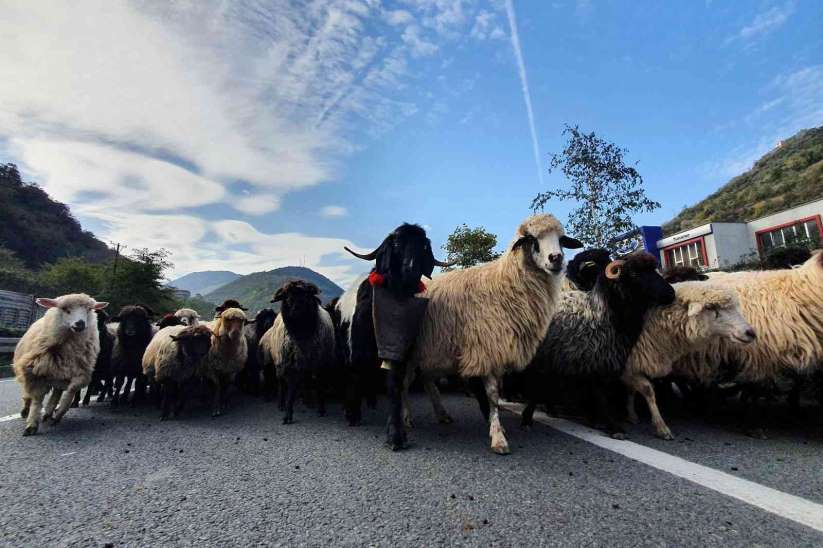 Kdz Ereli'de 19 köyde karantina uygulanmaya balad - Zonguldak haber