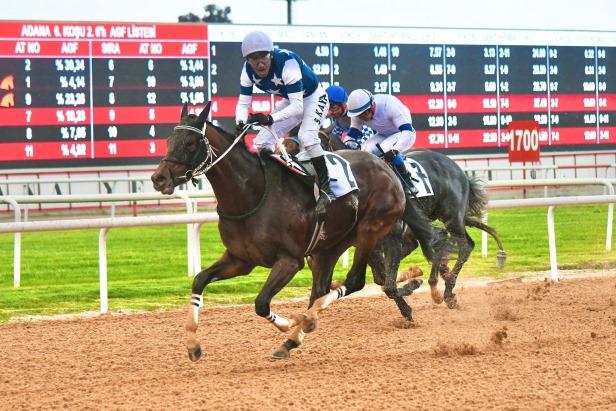 Adana'da Akdeniz Derbisi'nin kazananı 'Dapper Man' oldu
